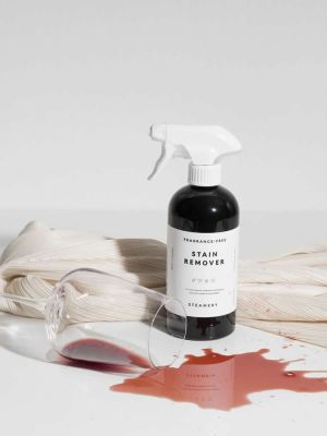 Stain remover STEAMERY