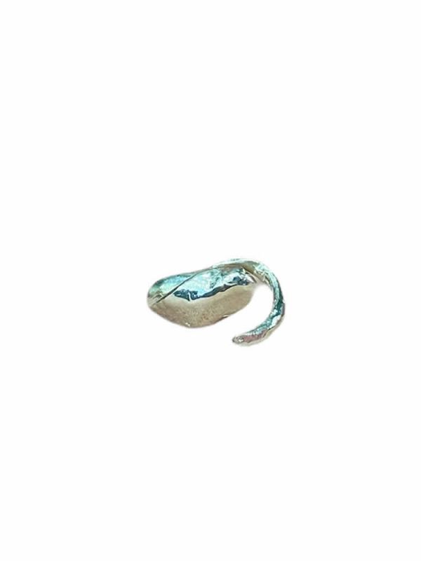 Δαχτυλίδι Cobra flat ασήμι 925 NASILIA